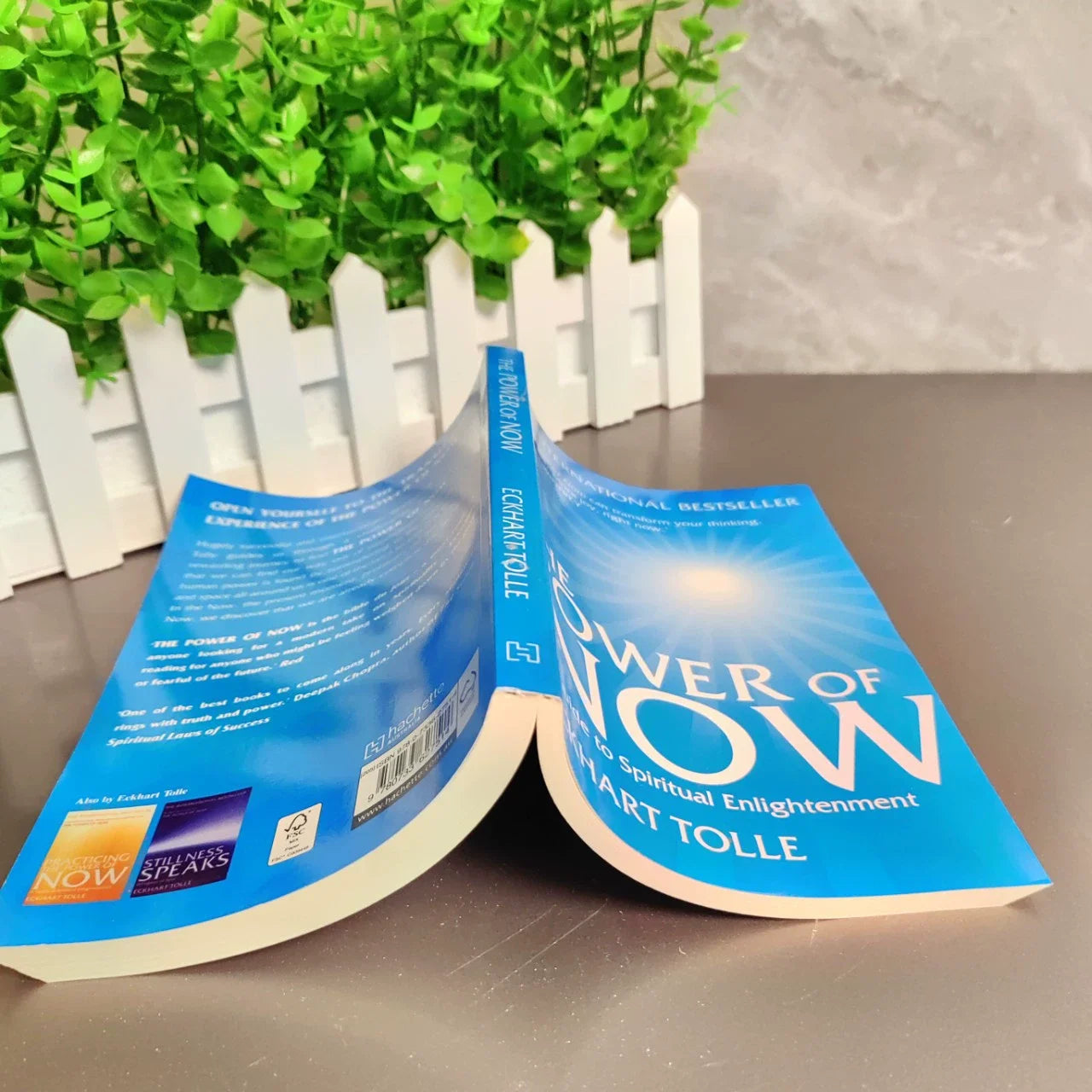 2025 New The Power of Now By Eckhart Tolle A Guide To Spiritual Enlightenment English Book