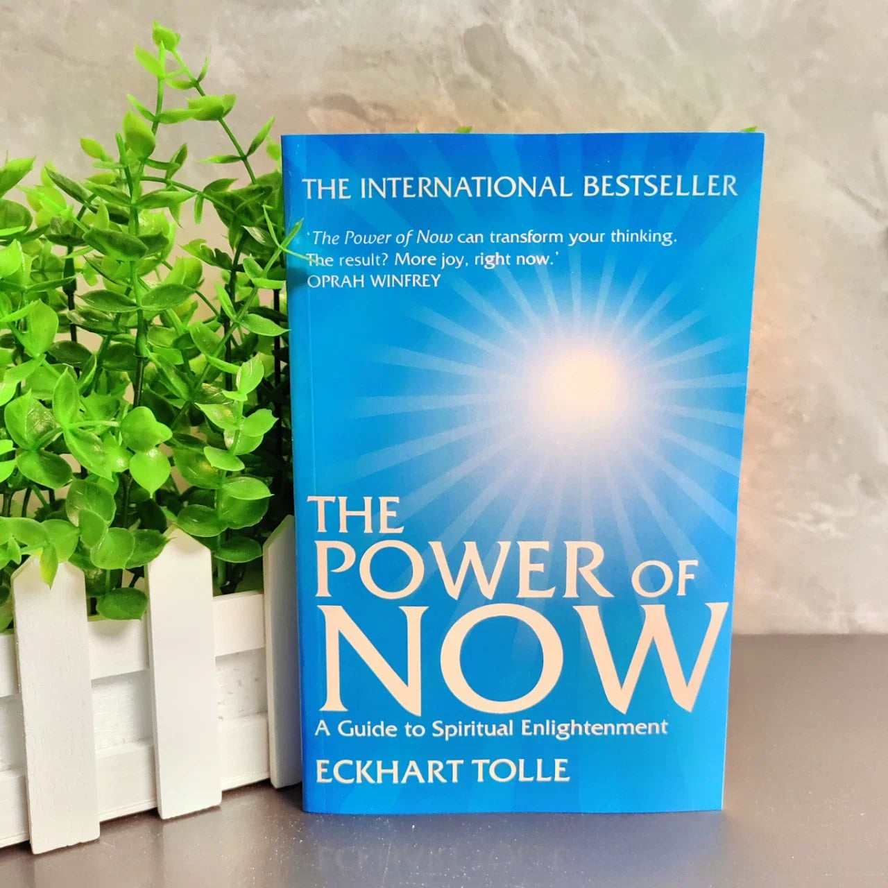 2025 New The Power of Now By Eckhart Tolle A Guide To Spiritual Enlightenment English Book