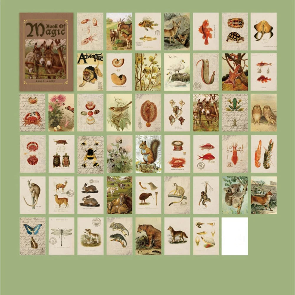 Kawaii Scrapbooking Junk Journal Background Paper Cute Decorative Note DIY Decoration Memo Pad Diary
